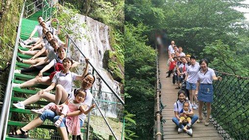 家有银柳，越过越有——五彩缤纷银芽柳
